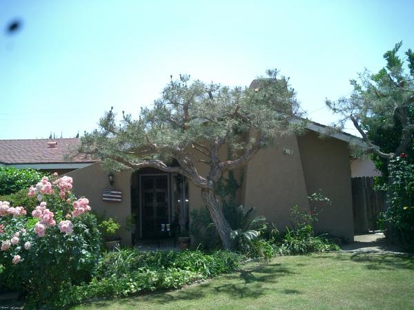 tree