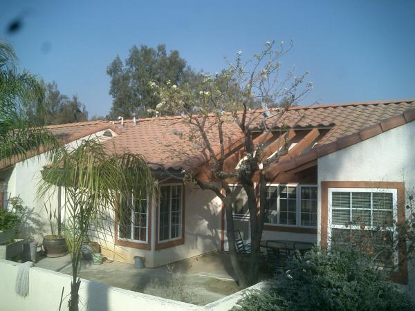 tree